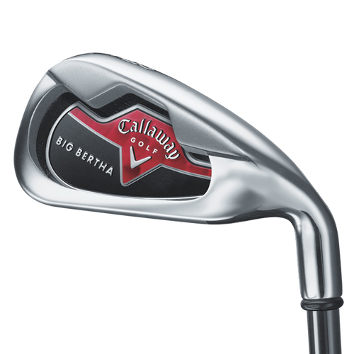 Big Bertha Irons (2006) - View 2