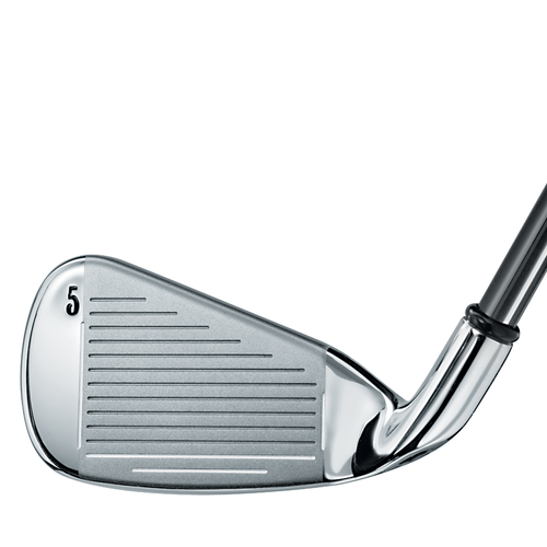 Big Bertha Irons (2006) - View 3