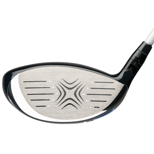 Big Bertha Drivers - View 2