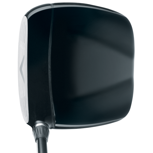 FT-i Drivers - View 4