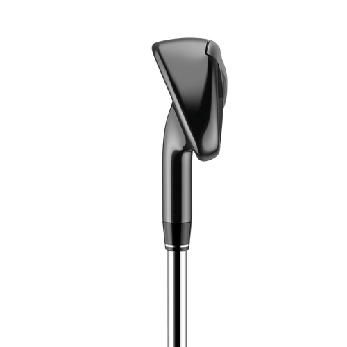 Big Bertha Irons - View 3