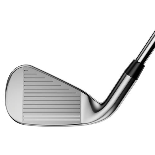 Rogue Irons - View 5