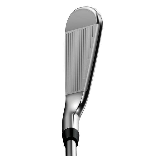 Apex Pro Dot Irons - View 3