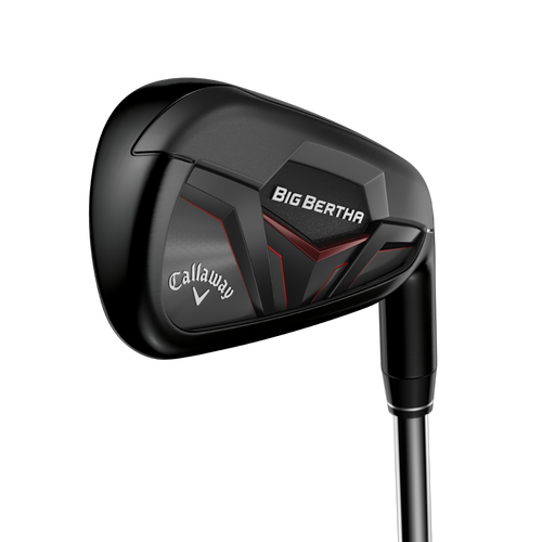Big Bertha Irons - View 1