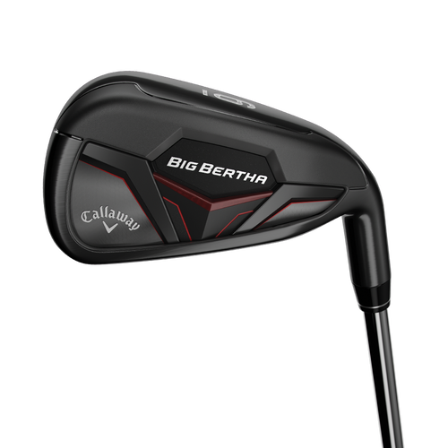 Big Bertha Irons - View 2