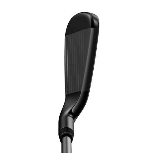 Big Bertha Irons - View 3