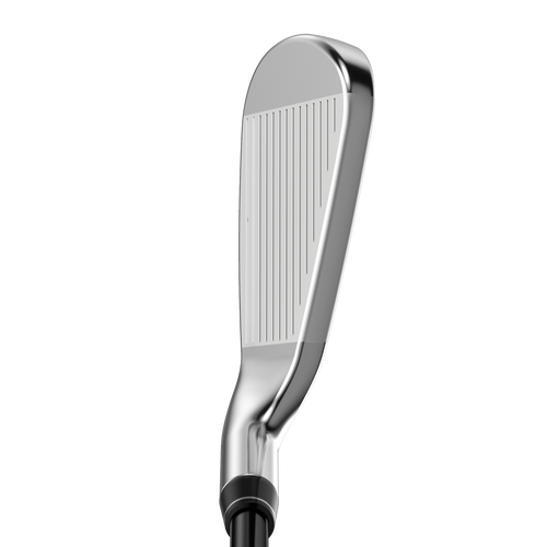 Great Big Bertha Irons - View 2