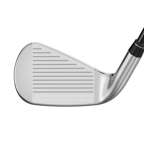 Great Big Bertha Irons - View 3