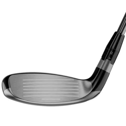 Big Bertha Hybrids - View 2