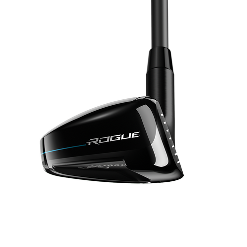 Rogue Hybrids - View 3