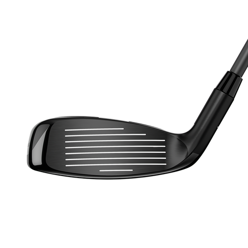 Rogue Hybrids - View 4