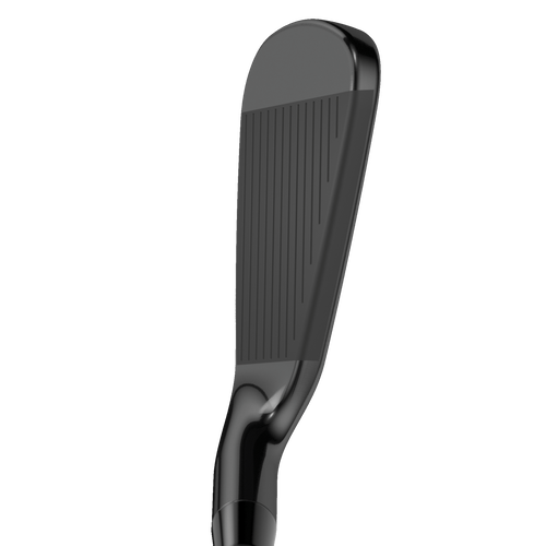 Apex 21 Black Irons - View 2