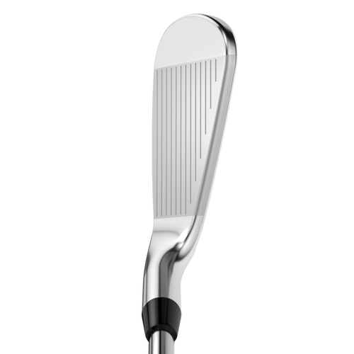 Apex Pro 21 Irons - View 2