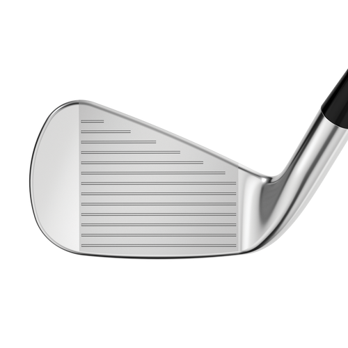Apex Pro 21 Irons - View 3