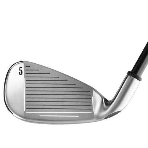 Big Bertha Irons (2002) - View 2