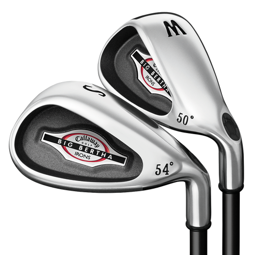 Big Bertha Irons (2002) - View 4