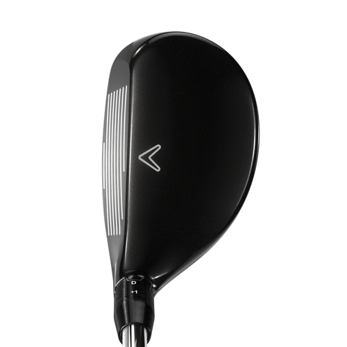 Big Bertha Hybrids - View 2