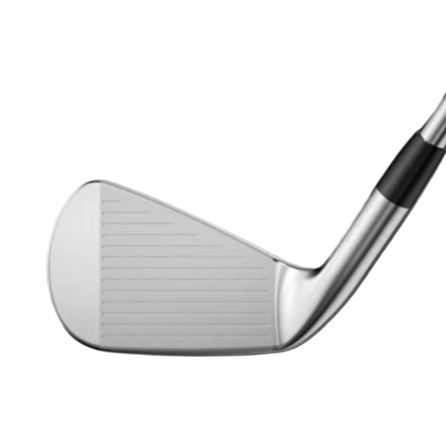 Mizuno Pro 225 Irons - View 2