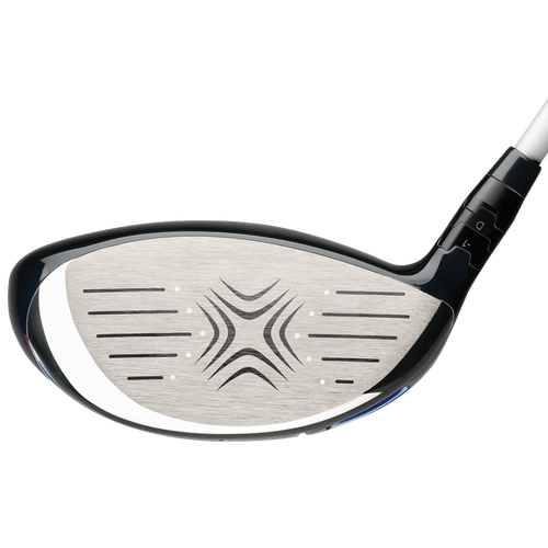 Big Bertha Drivers - View 2