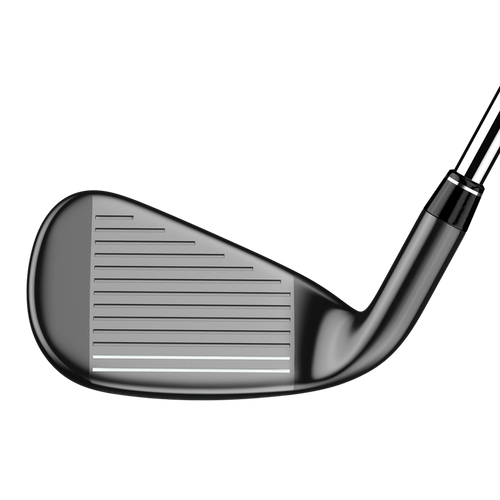 Big Bertha Irons - View 4