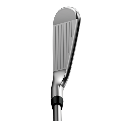 Apex Pro 19 Irons - View 3