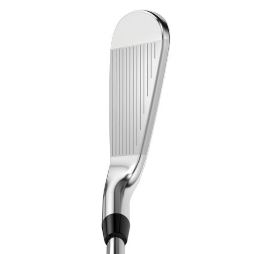 Apex Pro 21 Irons - View 2