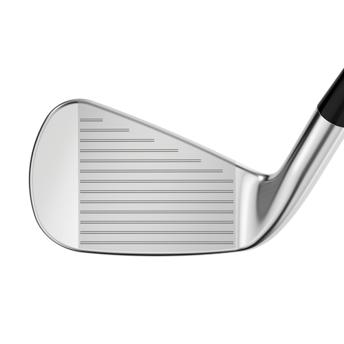 Apex Pro 21 Irons - View 3