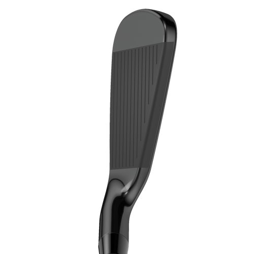Apex 21 Black Irons - View 2
