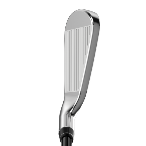 Great Big Bertha Irons - View 2