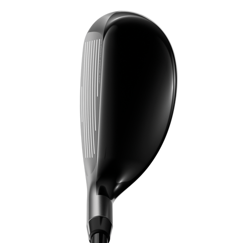 Apex Pro 21 Hybrids - View 2