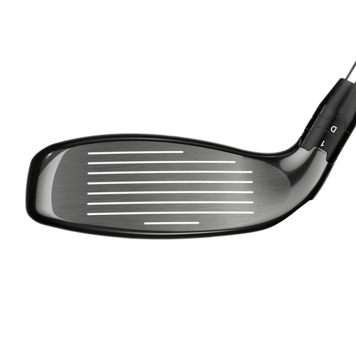 Big Bertha Hybrids - View 4