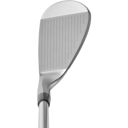 Mizuno S23 Satin Chrome Wedges - View 2