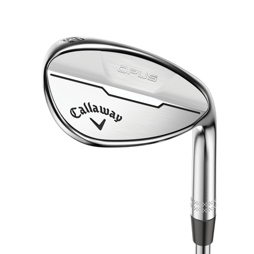 Women's Opus Brushed Chrome Wedges - View 1