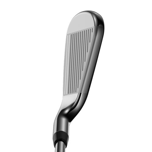 Rogue Irons - View 3
