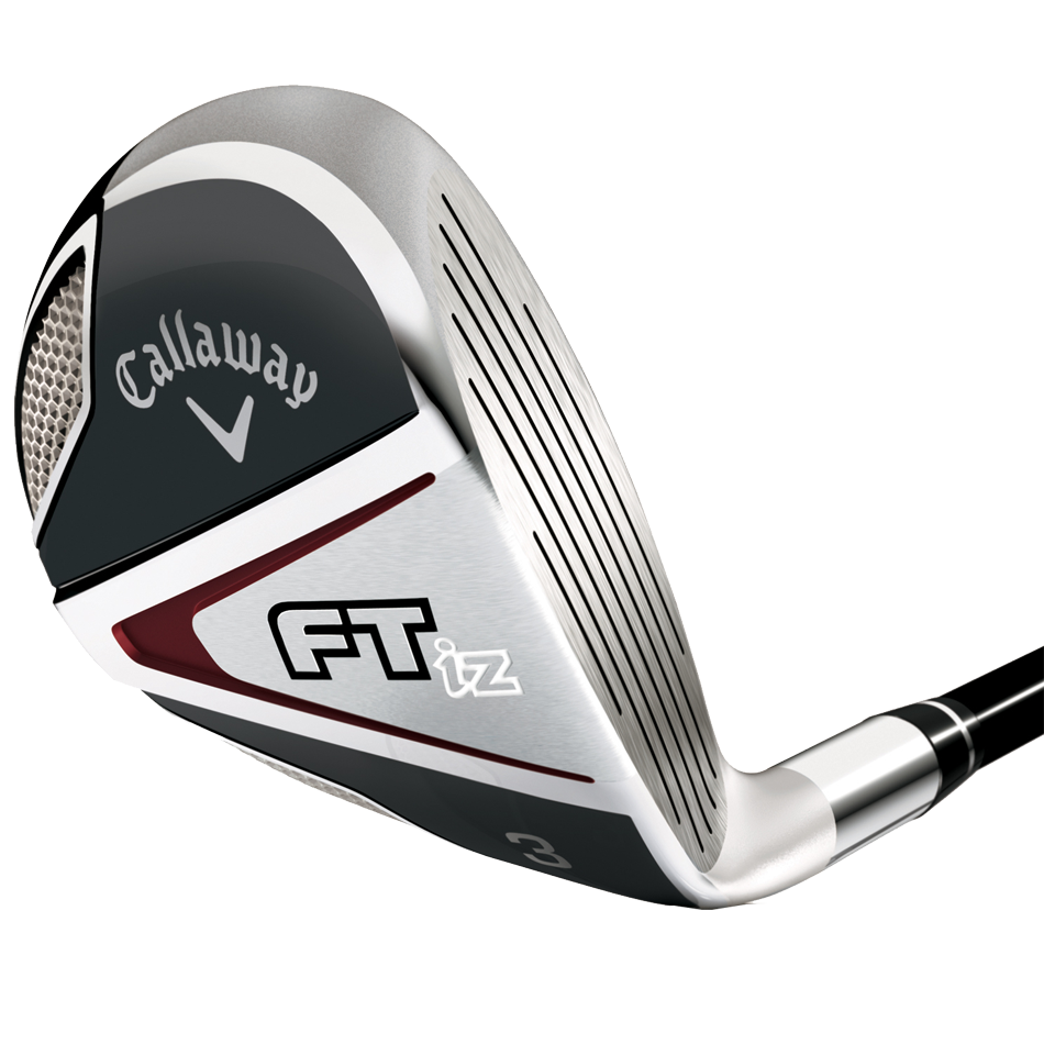 FT-iZ Hybrids image 1