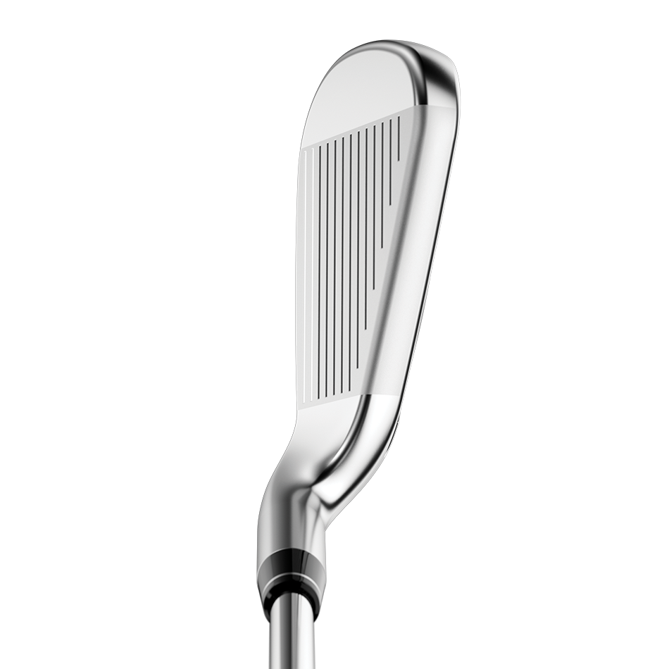 Big Bertha B21 Irons image 2