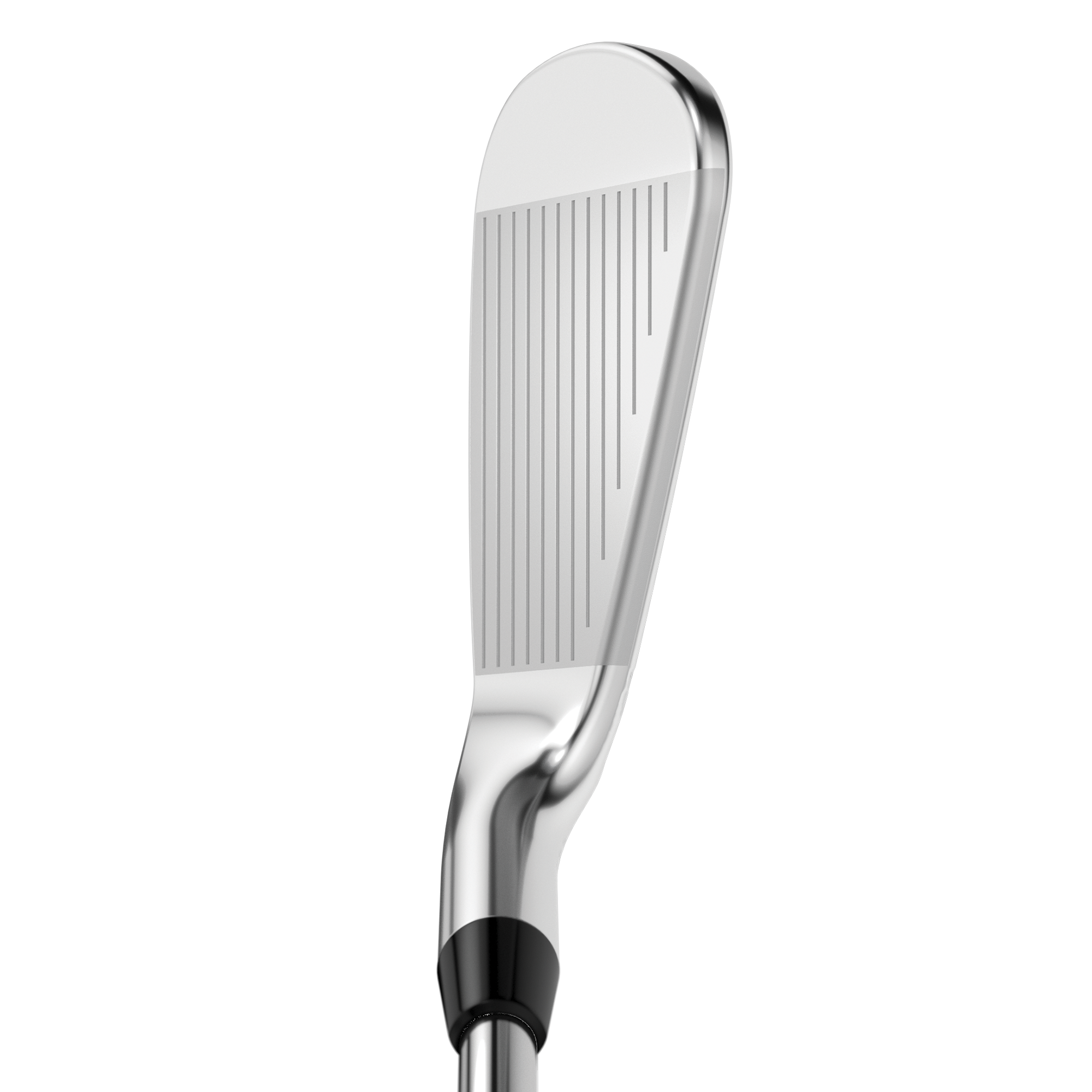 Apex Pro 21 Irons image 2
