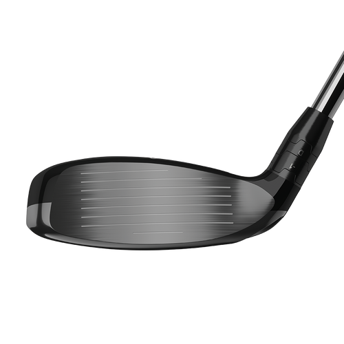 Big Bertha Hybrids - View 5