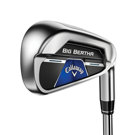 Big Bertha B21 Irons