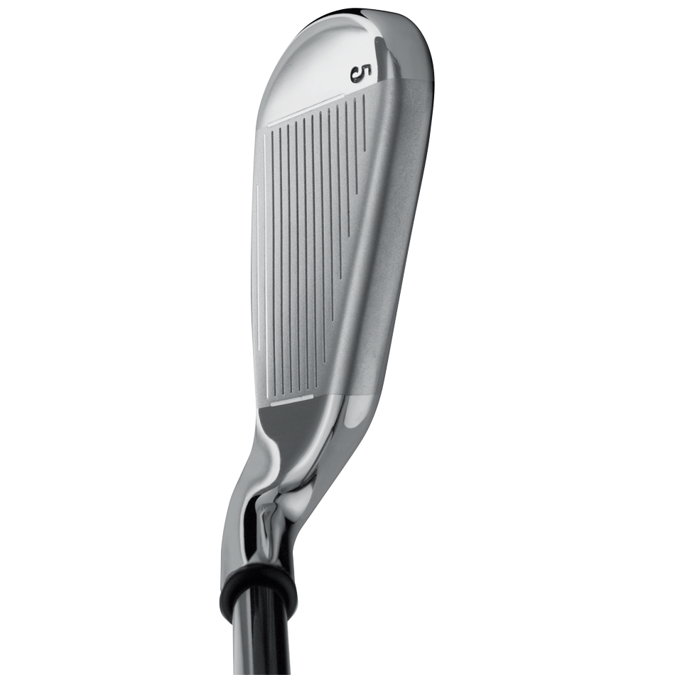 Big Bertha Irons (2004) image 3