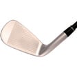 Big Bertha Diablo Forged Irons (European Version) image 11