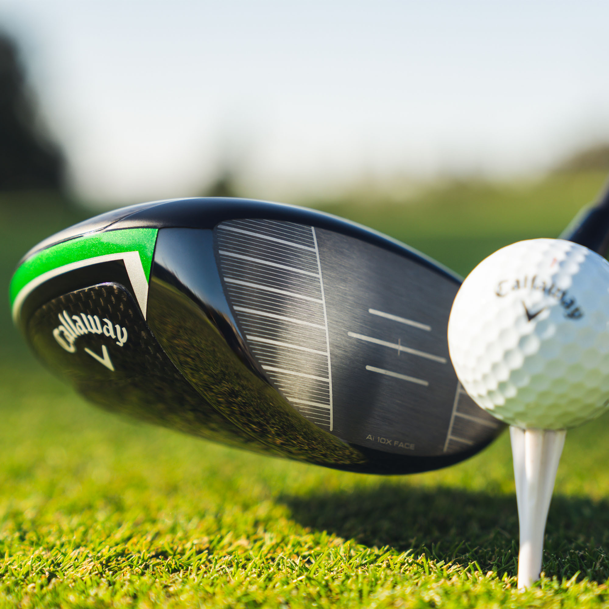Elyte Max Fast Driver image 9