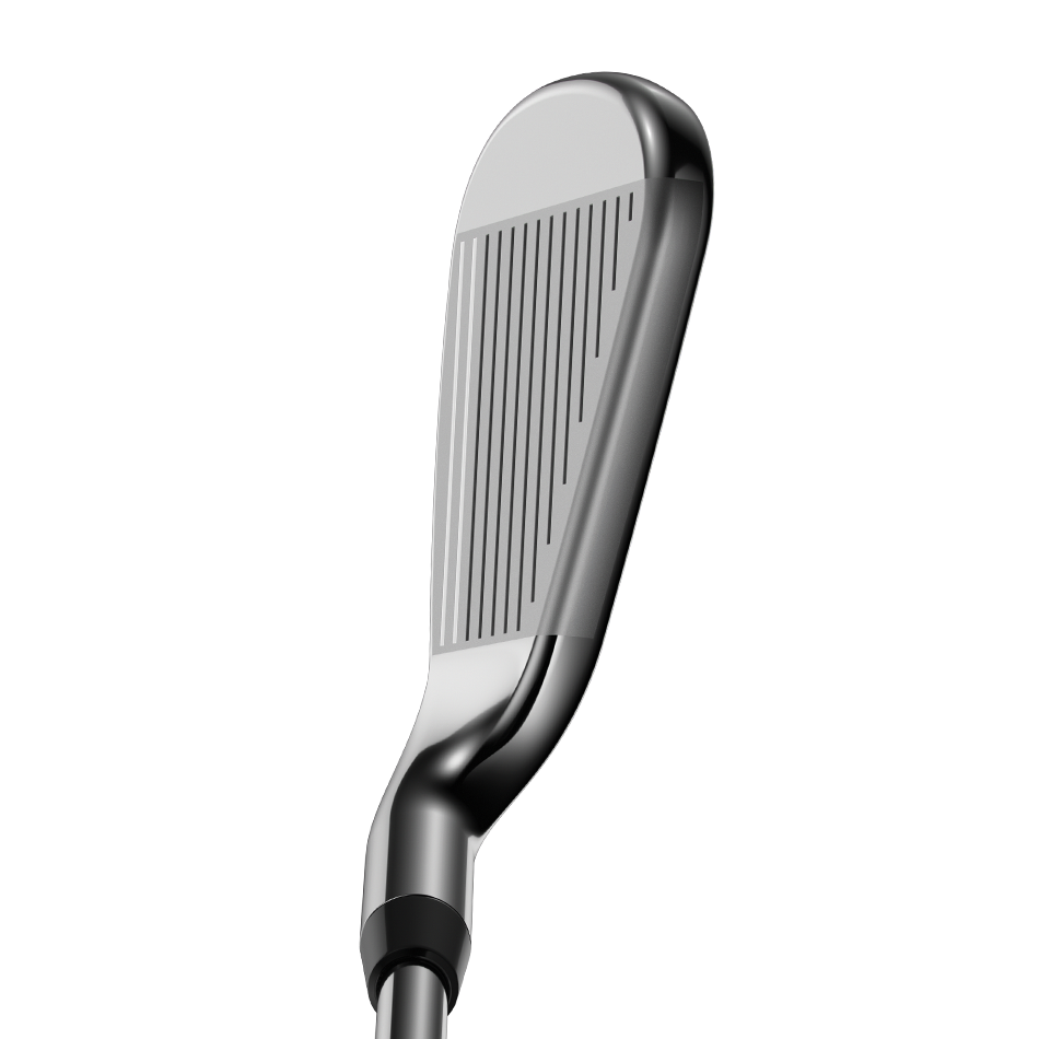 Rogue Irons image 3