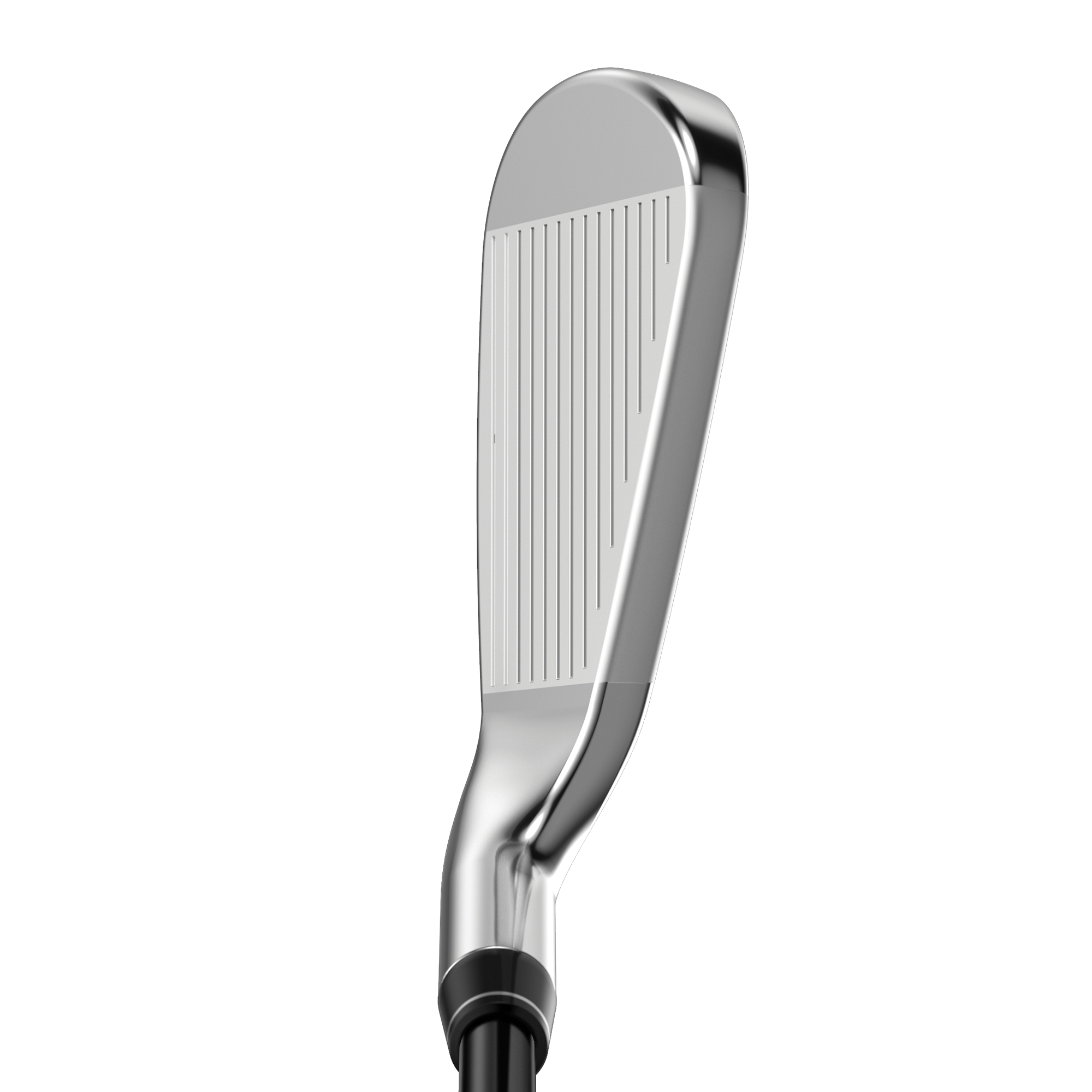 Great Big Bertha Irons image 2