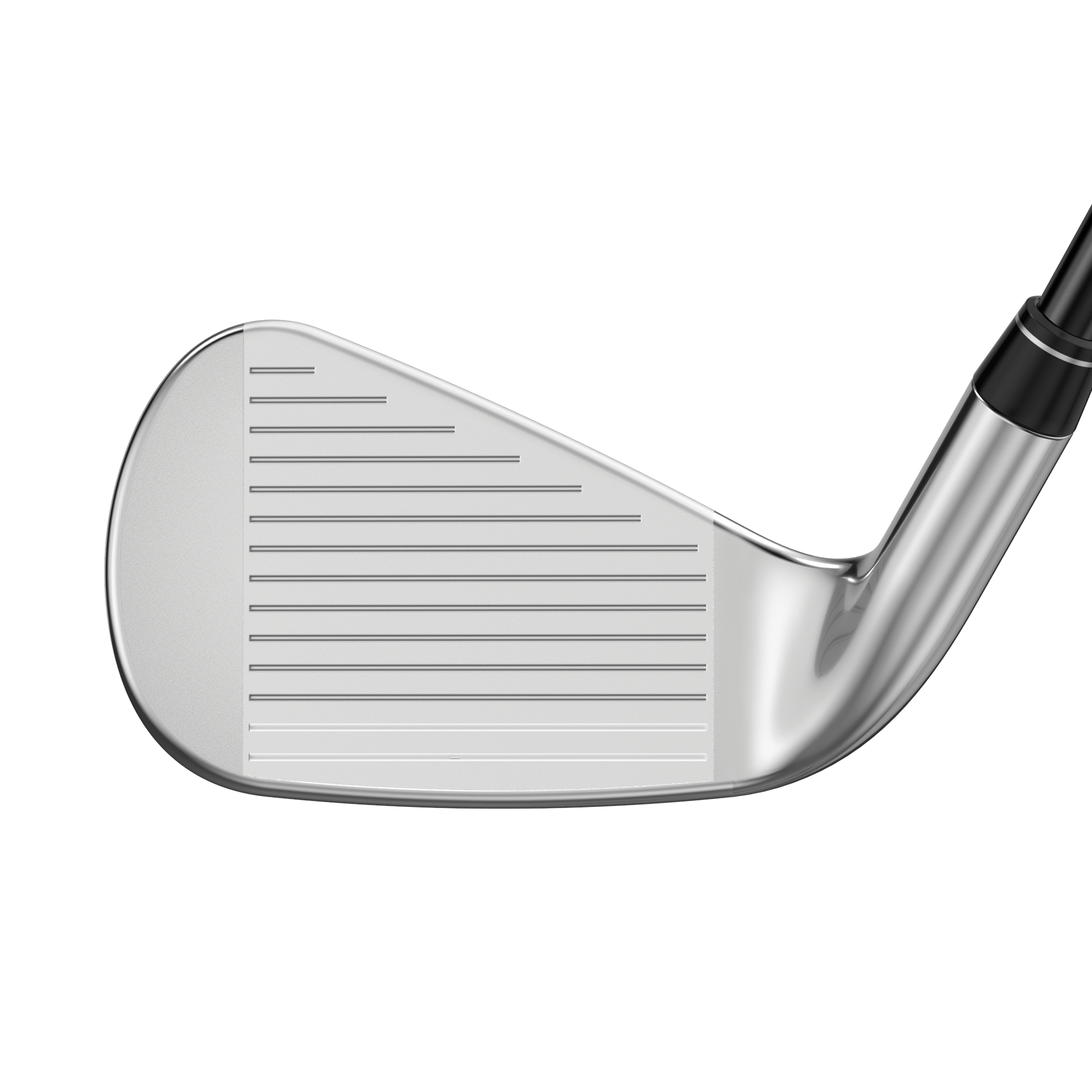 Great Big Bertha Irons image 3