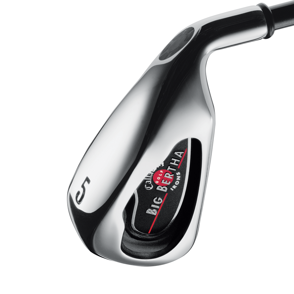Callaway Golf Big Bertha (2004) 4-10 Iron Mens/Right | Callaway