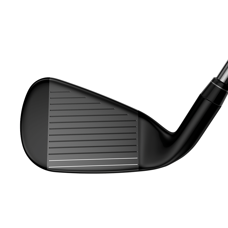 Big Bertha Irons image 4