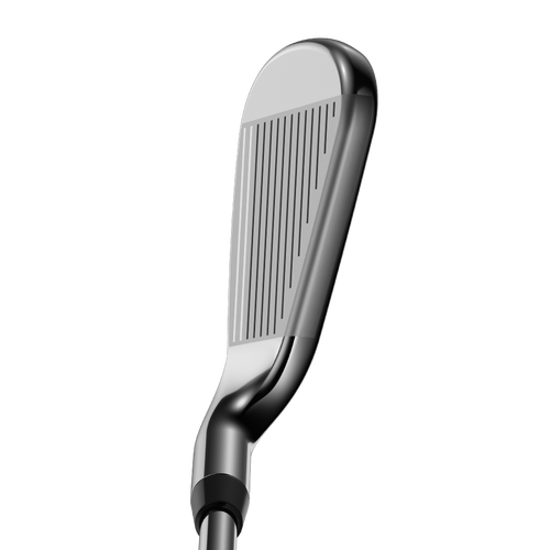 Rogue Irons - View 3