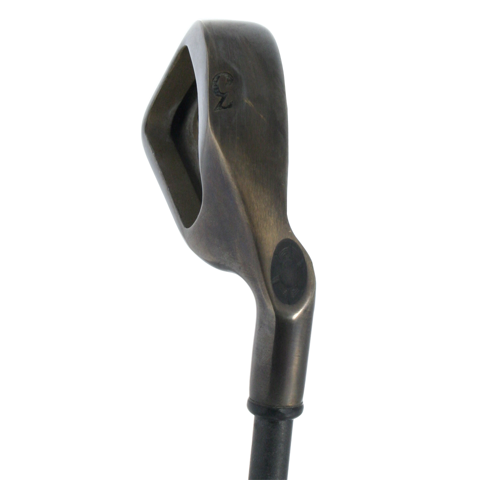 Big Bertha Gold Series Irons image 4