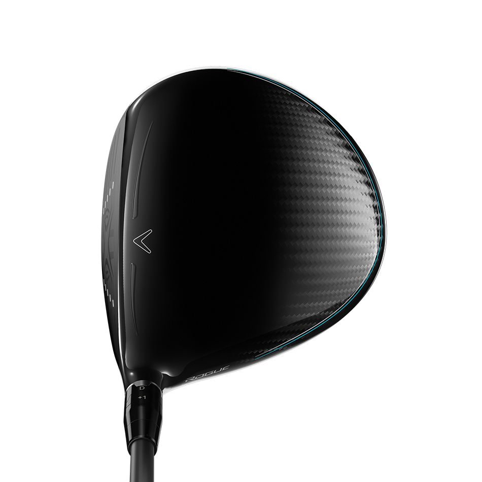 Rogue Tour Certified Drivers image 2